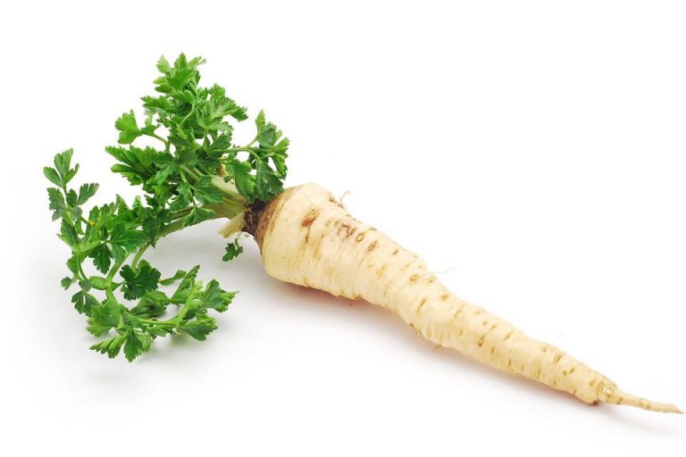 Ekologiczna pietruszka - Eko Farma - Dbamy o zdrowie i środowisko